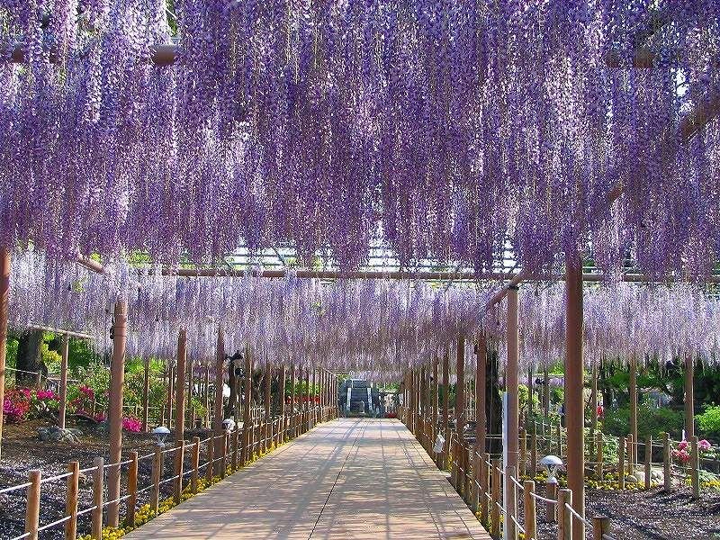 🌸 만다라지 공원(만다라지 코엔)